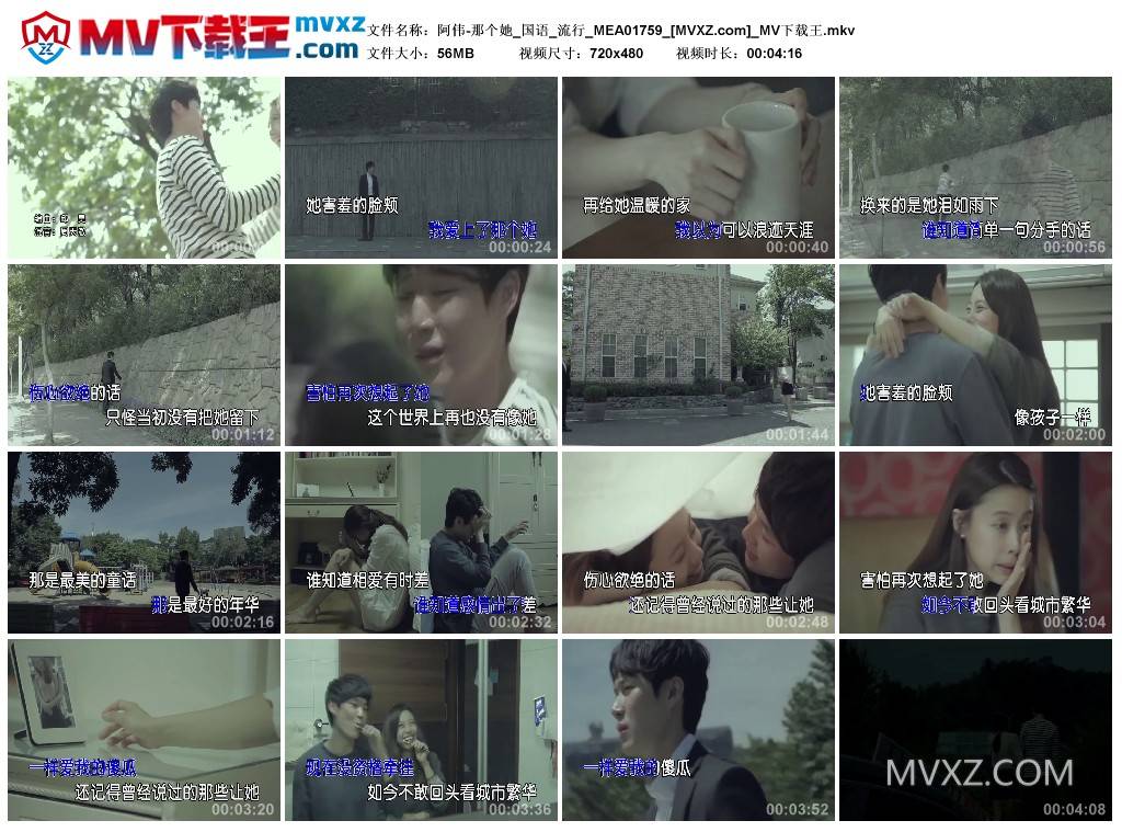 阿伟-那个她_国语_流行_MEA01759